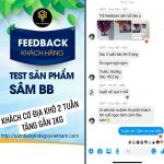 sâm bổ béo review